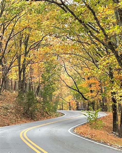 Photo Gallery: Canopied Color in and around Bent Tree – PickensProgress.com