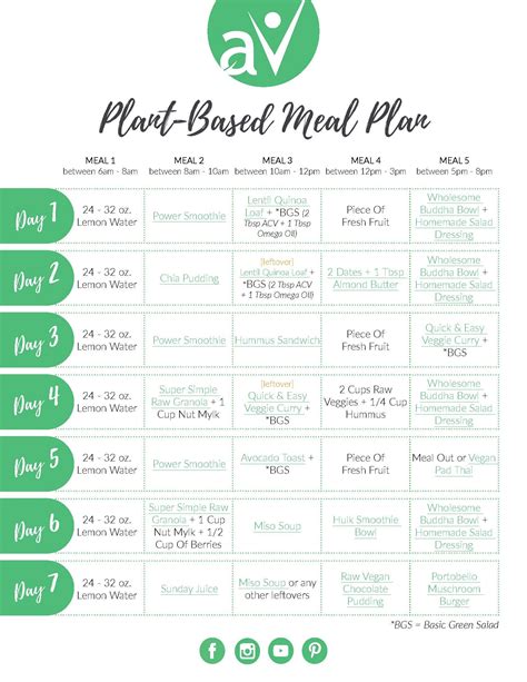 Plant Based Daily Meal Plan Best Culinary And Food