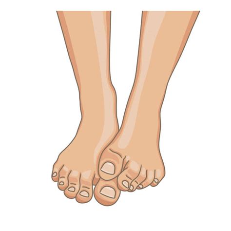 Foot Massage Cartoon Illustrations Royalty Free Vector Graphics And Clip