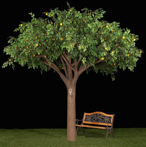 Artificial Lemon Tree Treescapes And Plantworks