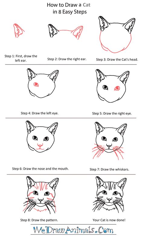 Step By Step Cat Face Drawing Cat Drawing Easy Bodaswasuas