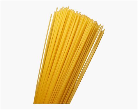 Linguine Spaghetti Png Free Transparent Clipart Clipartkey