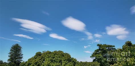 Lenticular Clouds Over Trees Photograph By Stephen Burtscience Photo
