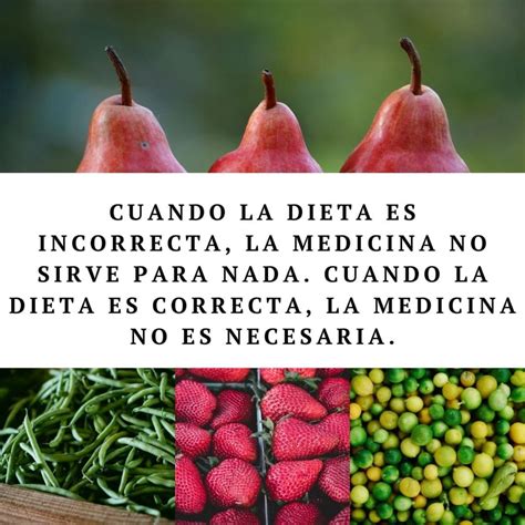 90 Frases De Nutrición Y Alimentación Saludable