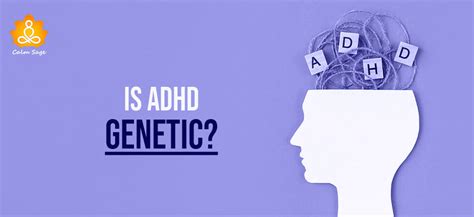 Is Adhd Genetic What You Should Know