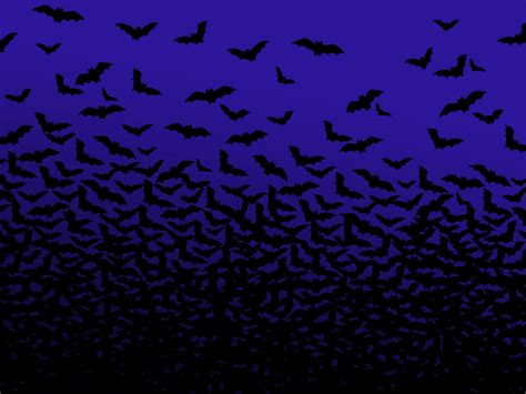 Bat Wallpapers Hd For Desktop Backgrounds