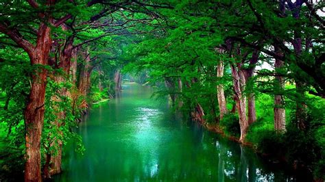 Download Tranquil Spring River Flowing Through The Forest Wallpaper