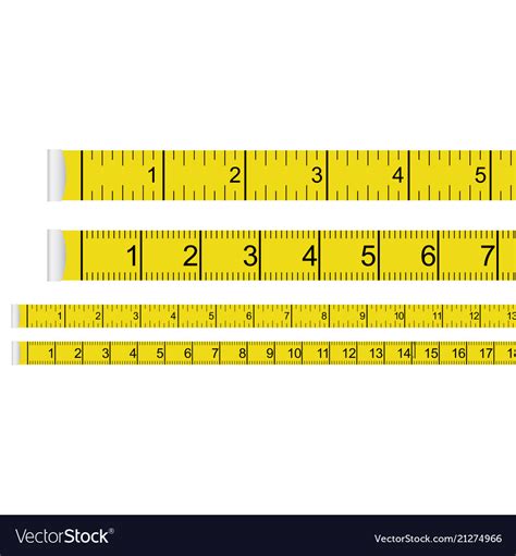 Tape Measure Presets Centimeter With Inches And Vector Image