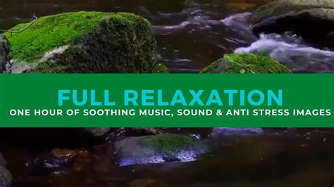 Full Relaxation One Hour Of Soothing Music Sound And Anti Stress