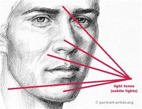 Shading Drawing Human Drawing Face Drawing Beginner Sketches