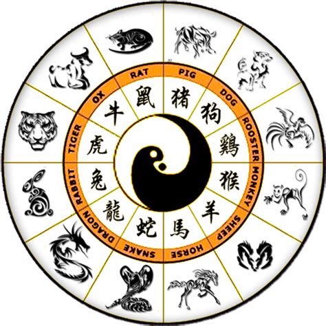 Chinese Zodiac - animal of the year calculated by the lunar calendar - Internships in China