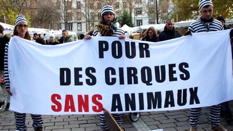 Campagne Nationale Contre Cirques Avec Animaux Youtube