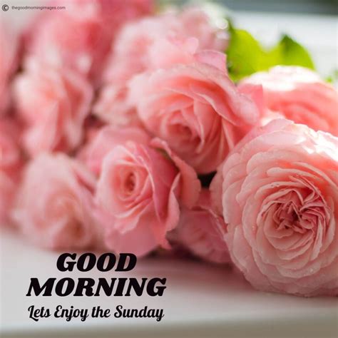 110 Latest Good Morning Sunday Images Photos And Pic