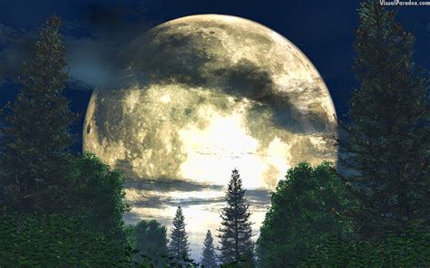 Visual Paradox Free 3d Wallpaper Forest Moon 1920x1200 Size Wallpaper