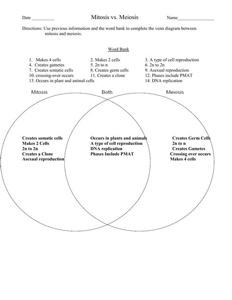 For each of the following, state if the cell is haploid or diploid: Mitosis And Meiosis Venn Diagram Answer Key - Aflam-Neeeak