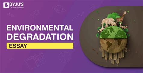 Environmental Degradation Essay Essay On Environmental Degradation
