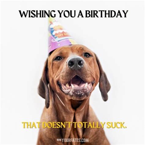 55 Sarcastic Birthday Wishes And Messages
