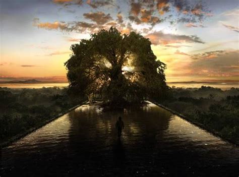 A Cannes Trionfa Terrence Malick Con Tree Of Life