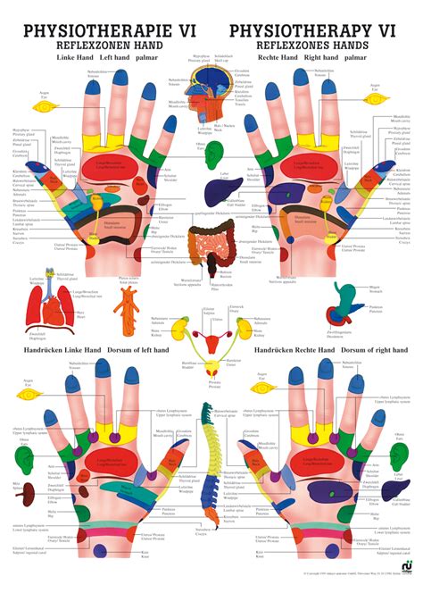 Reflexzonen Hand Im Ayurdeva Kaufen Ayurveda Ernährung And Ayurveda Kur