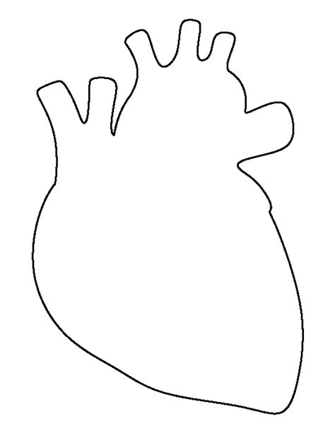 Printable Human Heart Template