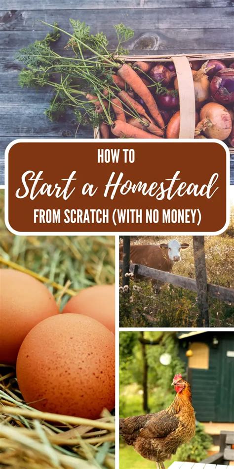 How To Start A Homestead From Scratch With No Money Shtf Prepping