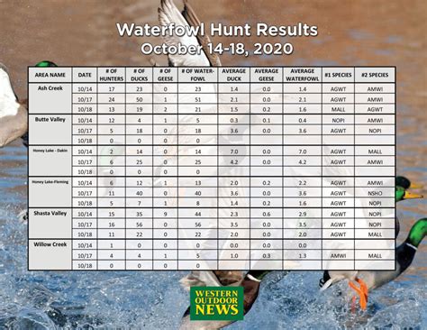 Waterfowl Hunt Results And Pre Opener Scouting Reports October 14 18