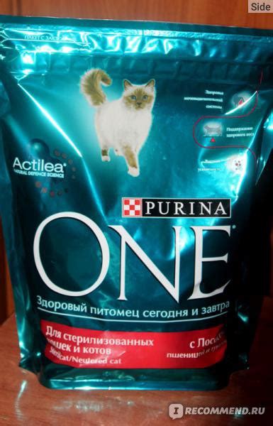 Purina One Adult Пурина Ван Эдалт для взрослых кошек с Лососем и