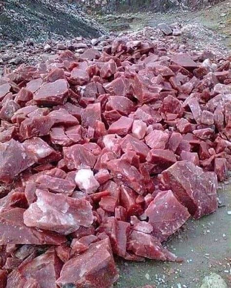 These Stones Look Like Meat Rpics