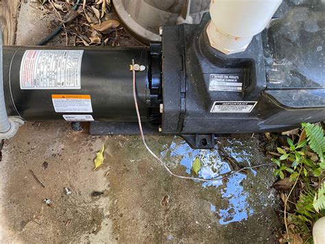 Most Common Leak Point After Pump Motor Replacement Trouble Free Pool