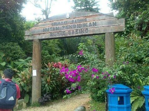 Map of bukit gasing trails. Bukit Gasing Forest Reserve (Kuala Lumpur) - 2020 All You ...