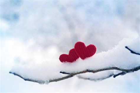 Cold Heart Shape Romance Ice Stock Photos Pictures And Royalty Free