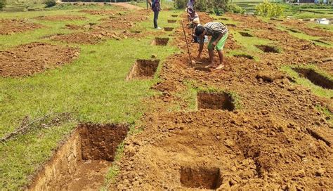 Pits Being Dug For Planting Tree On Wed The Shillong Times