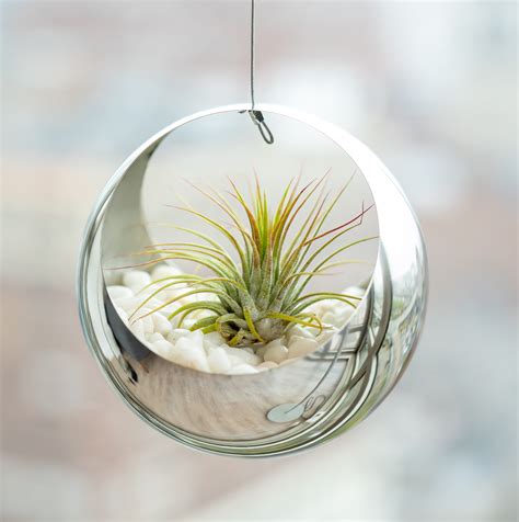 Modern Stainless Steel Hanging Planter Contemporary Sphere Pot For