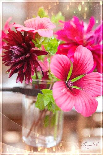 Beautiful Flowers  Cute Flower  Animated Image Free Download 24