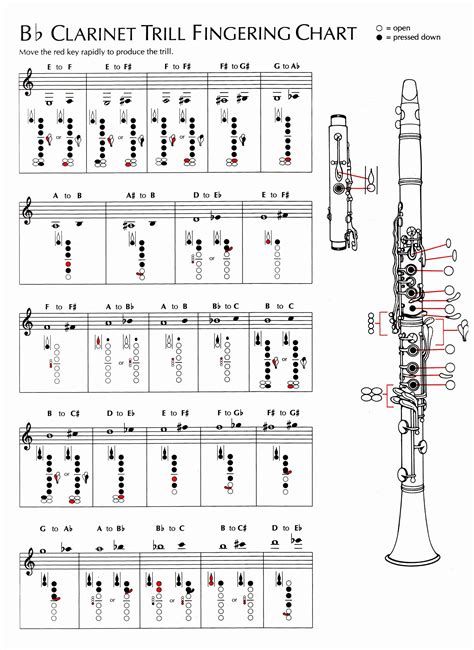 Bb Clarinet Finger Chart