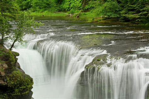 Lower Lewis Falls Lewis River Ford Pinchot National Forest Cougar