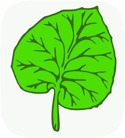 Large Leaf Png Svg Clip Art For Web Download Clip Art Png Icon Arts