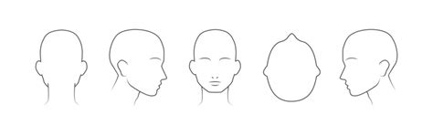 88062 Best Human Head Outline Images Stock Photos And Vectors Adobe Stock