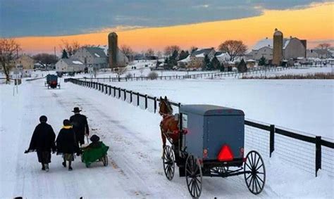 Amish In Winter Amish Farm Amish Amish Culture