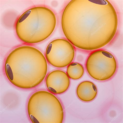 Tejido Adiposo Células Grasas Adipocitos Ilustración Vectorial