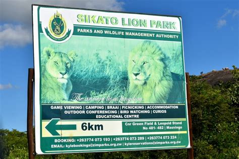 Sikato Lion Park Masvingo Zimbabwe Review All You Need To Know About