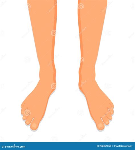 Female Legs Barefoot Side View Graceful Bare Female Feet Vector