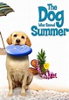 The Dog Who Saved Summer - Movies on Google Play