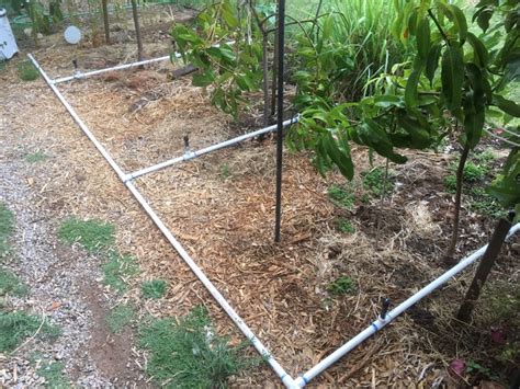 Homemade Drip Irrigation System For Trees Homemade Ftempo