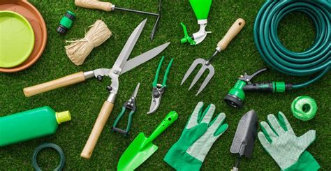 5 Essential Gardening Tools For Beginners Usa Today Classifieds