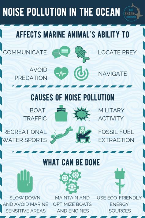 How To Combat Noise Pollution Asbakku