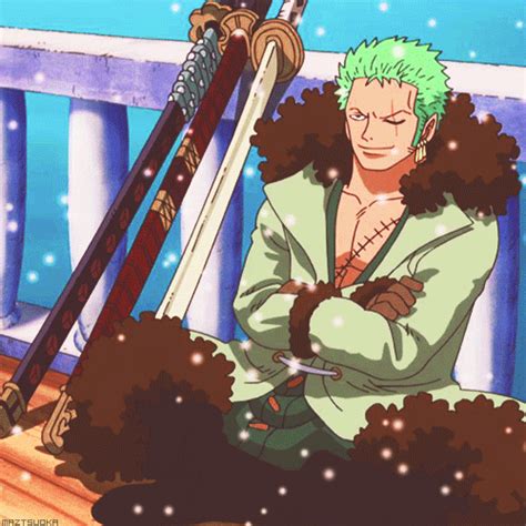 Zoro Episode 623 Snowing  Zoro One Piece One Piece Anime