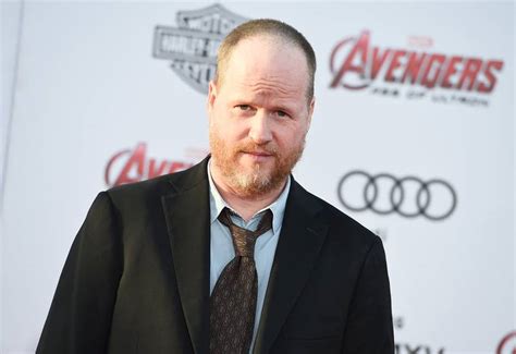 ‘avengers Age Of Ultron Director Joss Whedon Quits Twitter New York