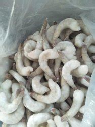Tiger Prawns Manufacturers Suppliers In India