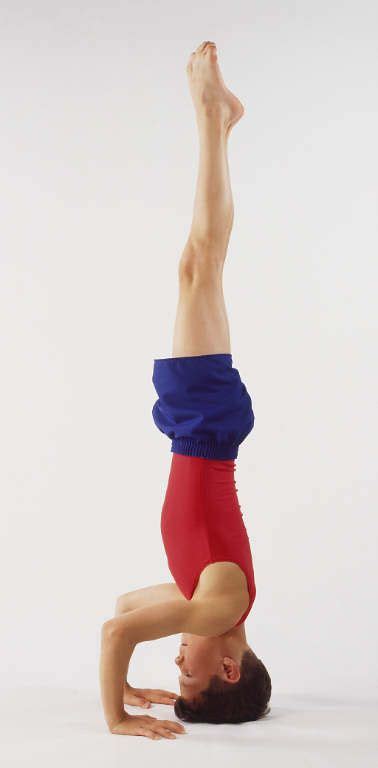 Gymnastics Drills For Headstand Headstand In Gymnastics Coaching And